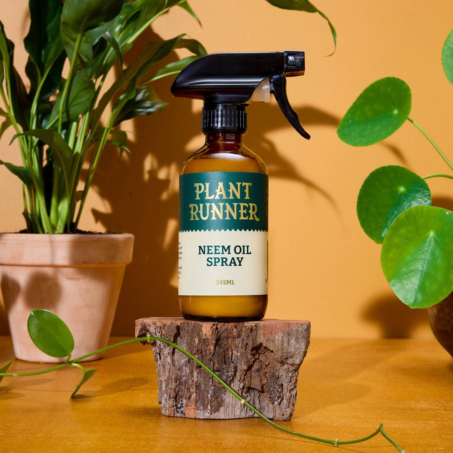 The Plant Runner Neem Oil Leaf Shine