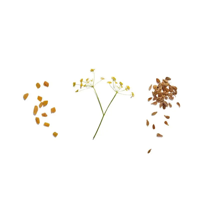 Loose Leaf Breastfeeding Tea - Willow + Hutch