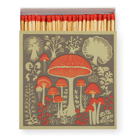 Archivist Gallery Mushroom Safety Matches