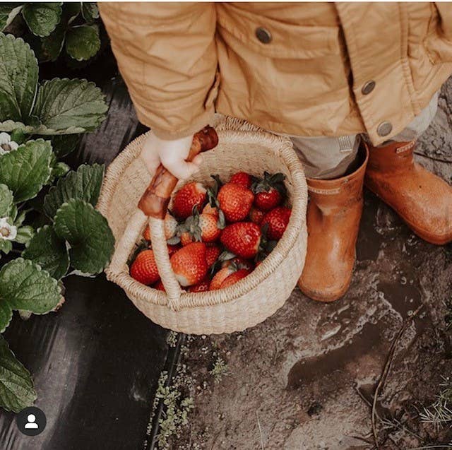 Natural Round basket Small