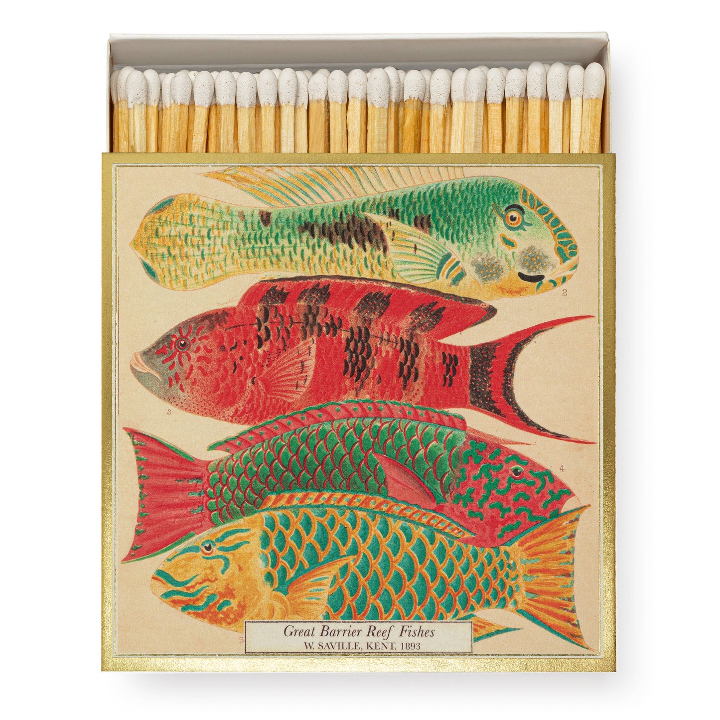Archivist Gallery | Australia - Fish | Square Matchboxes