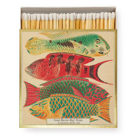 Archivist Gallery | Australia - Fish | Square Matchboxes