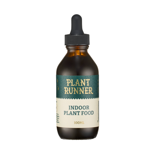Indoor Plant Food 100ml