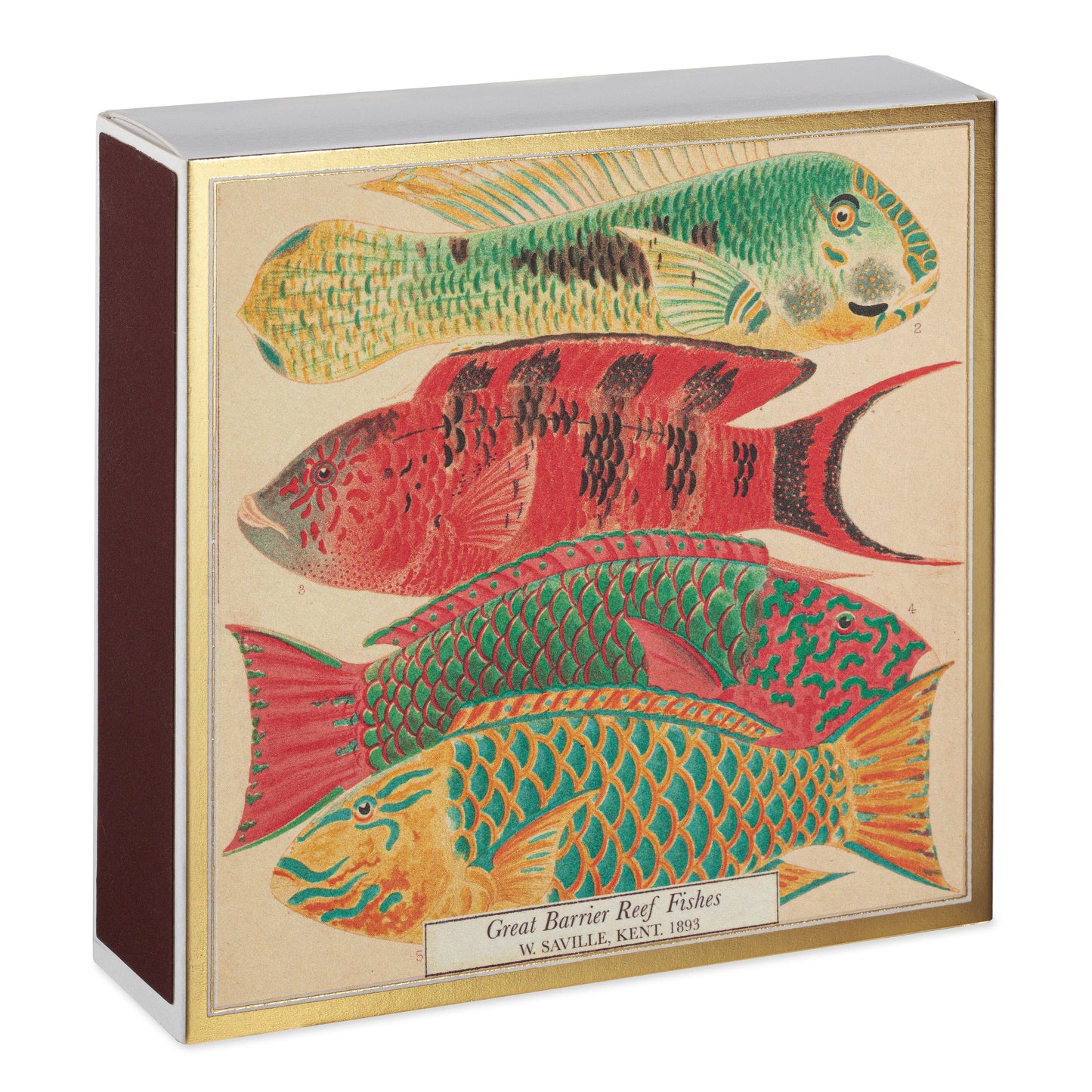 Archivist Gallery | Australia - Fish | Square Matchboxes