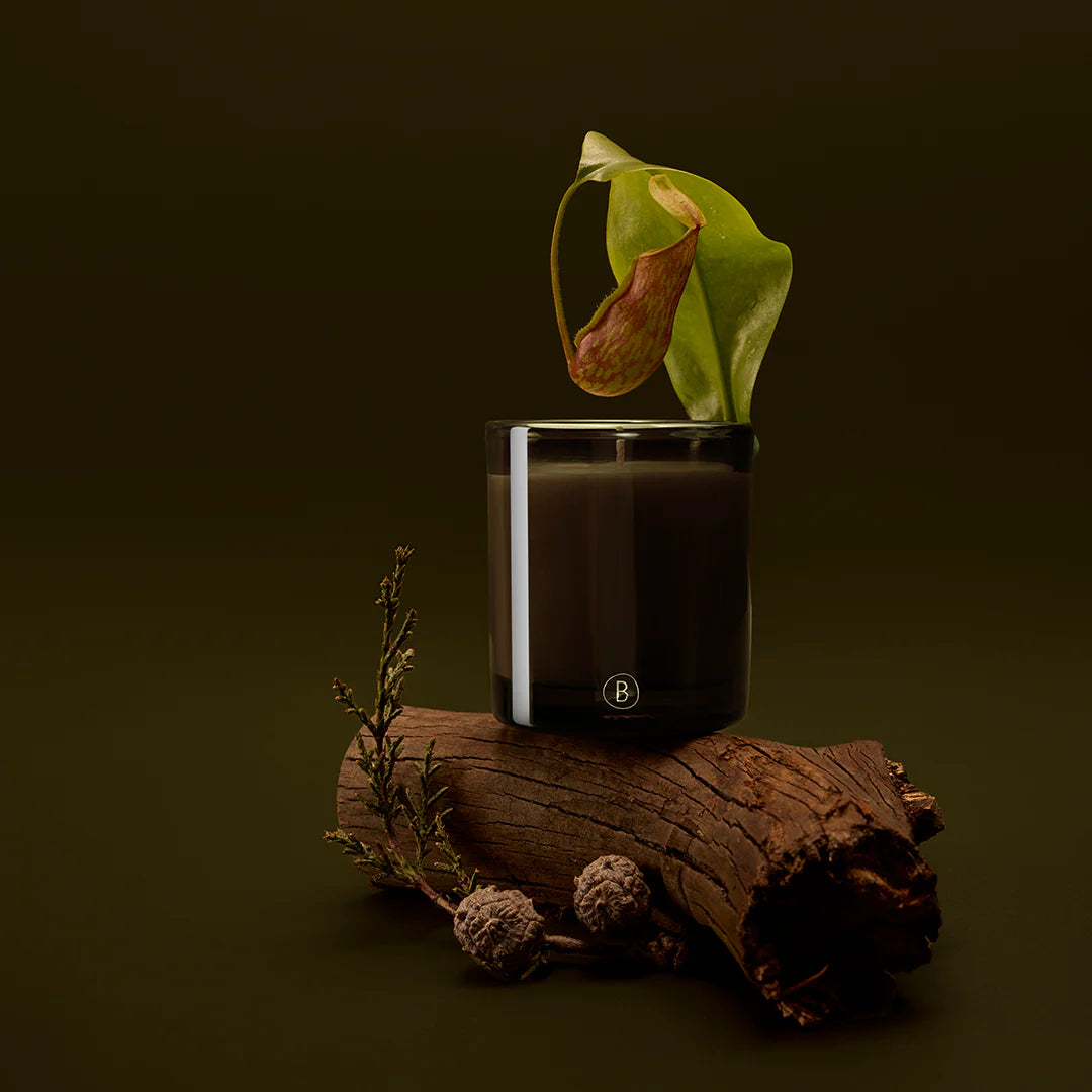 Rainforest Sunlight Scented Candle