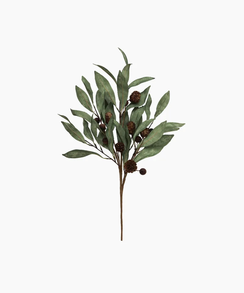 Eucalyptus and Brown Wood Berry Branch