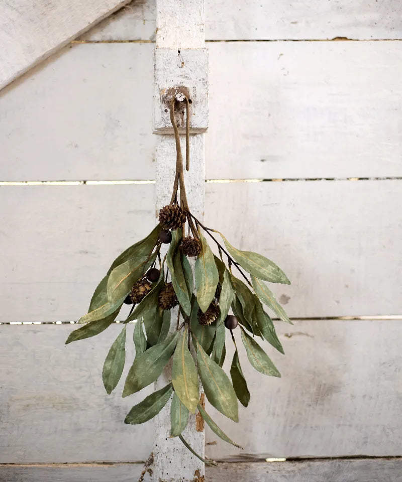 Eucalyptus and Brown Wood Berry Branch