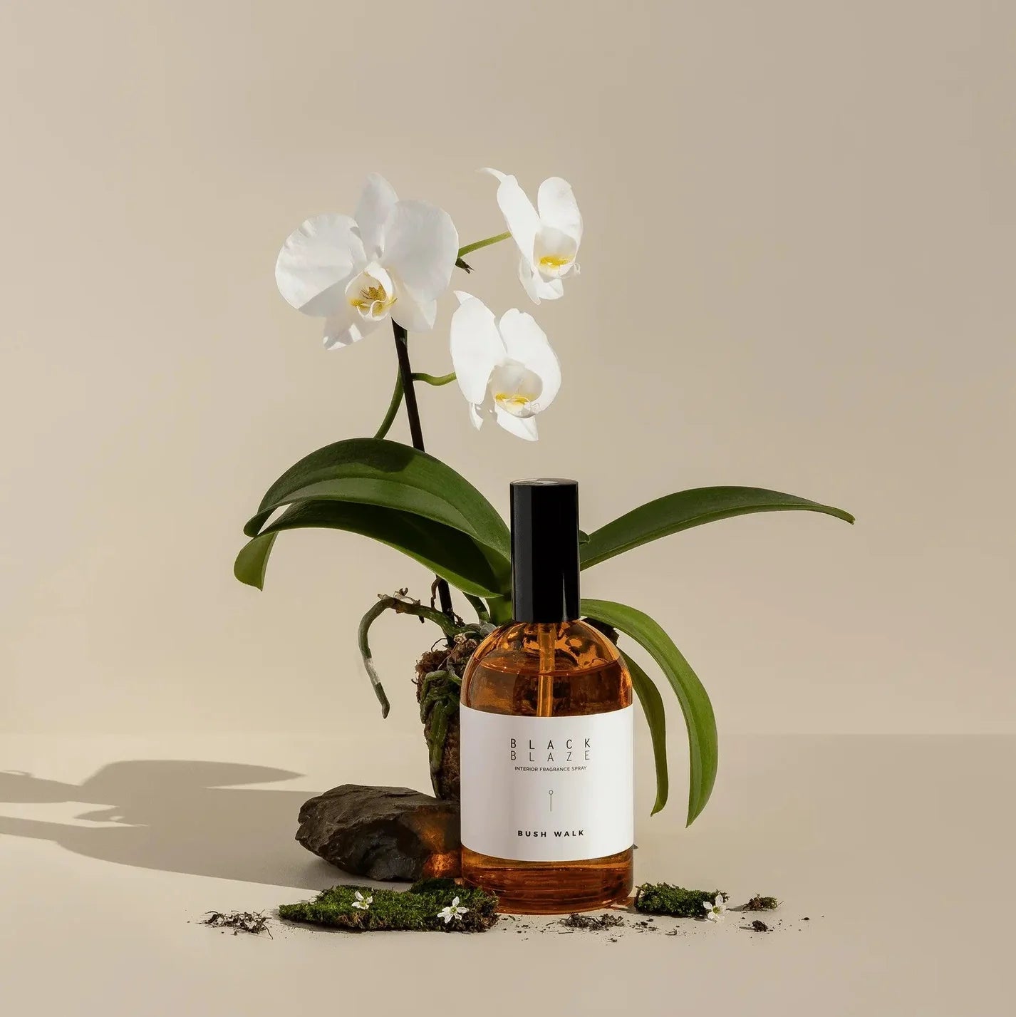 Rainforest Room Spray